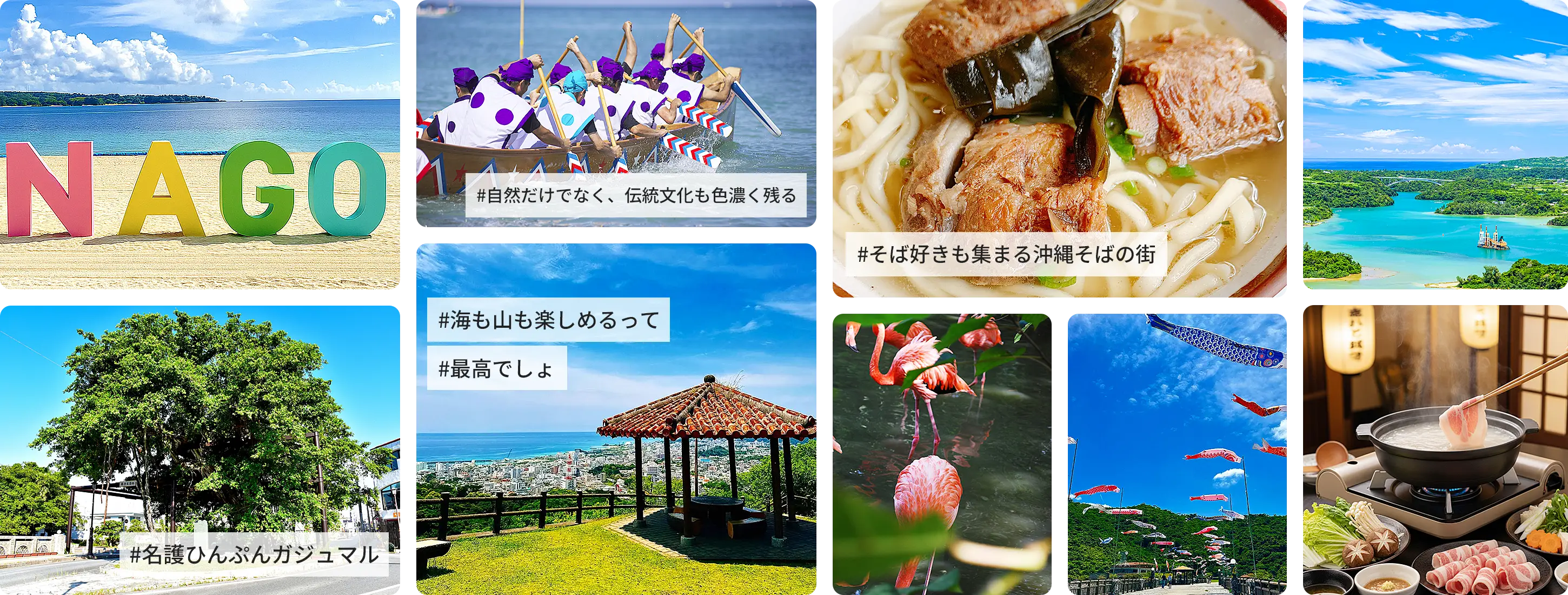 沖縄県名護市 ひんぷんガジュマル、沖縄そば