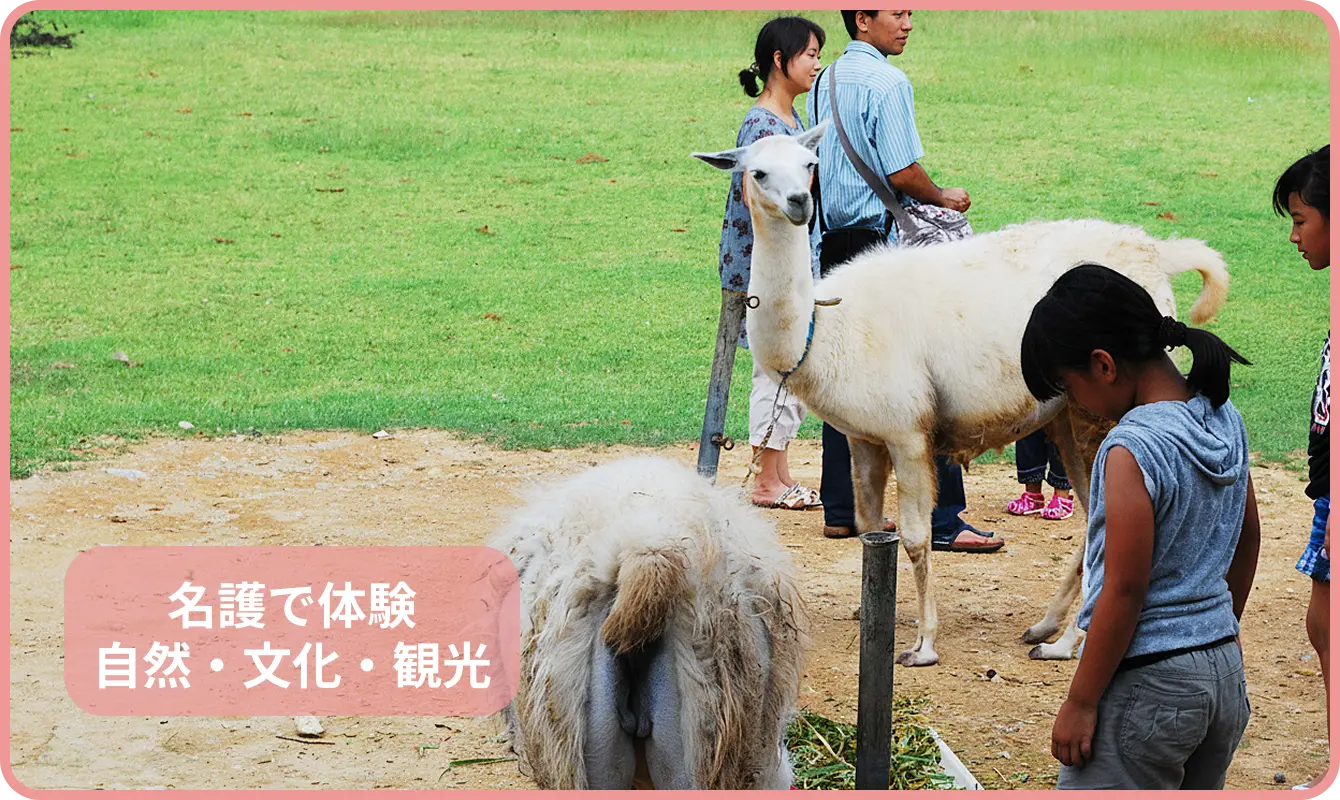 名護で体験 自然・文化・観光