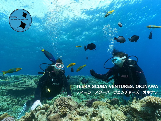 TEERA SCUBA VENTURES,OKINAWA