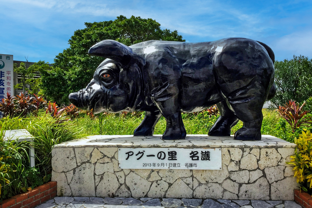 沖縄名護市の風景